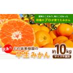 ふるさと納税 訳あり早生みかん10kgどの坂果樹園《12月上旬-1月末頃出荷》みかんみかん訳ありみかんみかんみかん 和歌山県日高川町