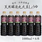 ふるさと納税 原料と製法にこだわった　国産無添加　天然醸造丸大豆醤油１L×６本　合計6L［YK-110］ 長野県佐久穂町