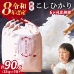 全6回 定期便 こしひかり 15kg