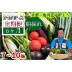 ふるさと納税 【6回定期便】野菜セット 野菜 野菜 野菜 野菜 野菜 京都府亀岡市