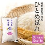 米 6ケ月連続 ひとめぼれ 一等 10kg