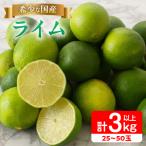 皮まで使える ライム 計3kg以上