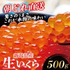いくら 500g