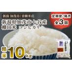 新潟産コシヒカリ 七谷産 棚田米 精米10kg