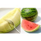 ふるさと納税 熊本産 小玉すいか＆肥後グリーンメロン【2026年4月下旬〜7月上旬迄順次発送予定】すいか メロン 果物 フルーツ 熊本県熊本市