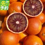 熊本産 ブラッドオレンジ 約3kg前後