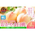 ふるさと納税 桃 おかやま白桃 1kg(3-5玉前後)ご家庭用《2025年6月下旬-9月上旬頃より発送予定》|桃桃桃桃桃 岡山県浅口市