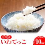 令和5年産 産いわてっこ10kg 5kg×2袋
