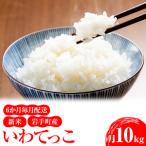 新米 産いわてっこ10kg 5kg×2袋