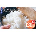ヒノヒカリ 精米 10kg
