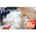 ヒノヒカリ 精米 5kg