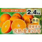 完熟 愛果28号 紅まどんな と同品種 秀品 2.4kg