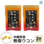 熱帯 ウコン 90粒