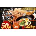 大きめ 餃子 50個