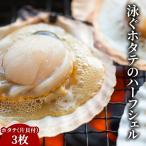fn-39-004 泳ぐホタテのハーフシェル