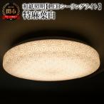 和紙照明 特麻葉白