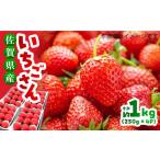 ふるさと納税 12月から4月発送 いちごさん 計1kg以上 いちご 苺[FDF001] 佐賀県吉野ヶ里町