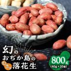 むき身 落花生 40g×20