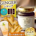 HAO ジンジャーシロップ 160g×2