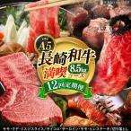 長崎和牛満喫定期便 牛肉切り落とし 牛肉定期便