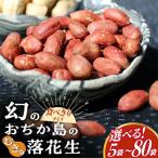 幻のむき身落花生 40g×5