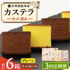 カステラ2種 プレーン チョコレート 文明堂