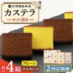 カステラ2種 プレーン チョコレート 文明堂