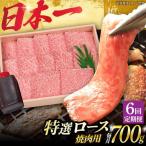 長崎和牛A5 特選 ロース 極厚 焼肉700g