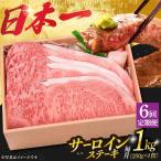 6回定期便 A5長崎和牛特選サーロインステーキ 250g×4