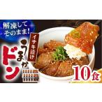 ブランド魚 値賀咲 ちかさき うまかドン10パック