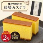 長崎カステラ 10切×2本