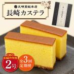 長崎カステラ 10切×2