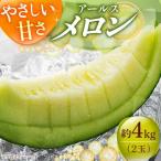 アールスメロン 約4kg