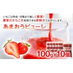 あまおうピューレ100g×10個 BD09