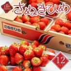 いちご さぬきひめ 12パック