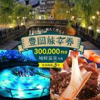 旅行クーポン 300,000円分