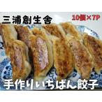 三浦創生舎のいちばん 餃子 ハートフルさと納税