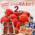 いちご ジャム用あまおういちご 2kg