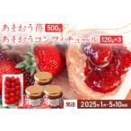 あまおう苺500gとコンフィチュール120g×3個のセット