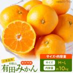 ご 有田みかん 約10kg