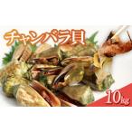 チャンバラ貝 10kg