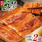 うなぎ蒲焼詰合せ2尾