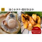 ふるさと納税 fn-39-020 泳ぐホタテ・殻付きほや【5月中旬〜7月末頃期間限定 お届け便】ヤマキイチ商店 岩手県釜石市