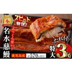 ふるさと納税 鹿児島県産うなぎ蒲焼 名水慈鰻 特大3尾(1尾190g以上)<計570g以上> うなぎ 鰻 ウナギ 3尾 国産 蒲焼 かばやき 冷凍 真空 真.. 鹿児島県志布志市