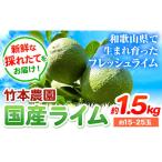 ライム 約1.5kg