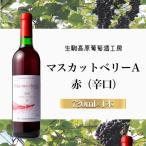 マスカットベリーA 赤 辛口 ワイン 赤ワイン