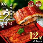 産うなぎ蒲焼 名水慈鰻 12尾