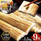 うなぎ本来の旨みが楽しめる白焼き定期便