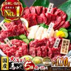 12回定期便 馬刺し大満足セット計約410g 5種