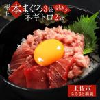 本鮪端材切り落とし ネギトロセット 本鮪切落し100g×3